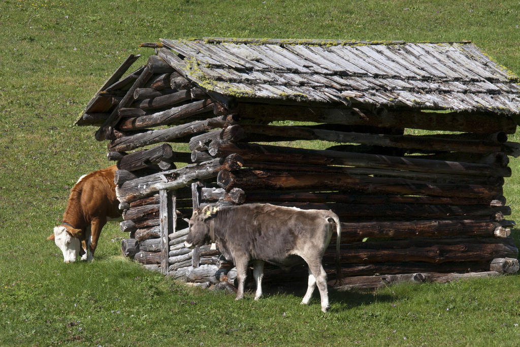 Hotel Edelweiss Pfunds Extérieur photo